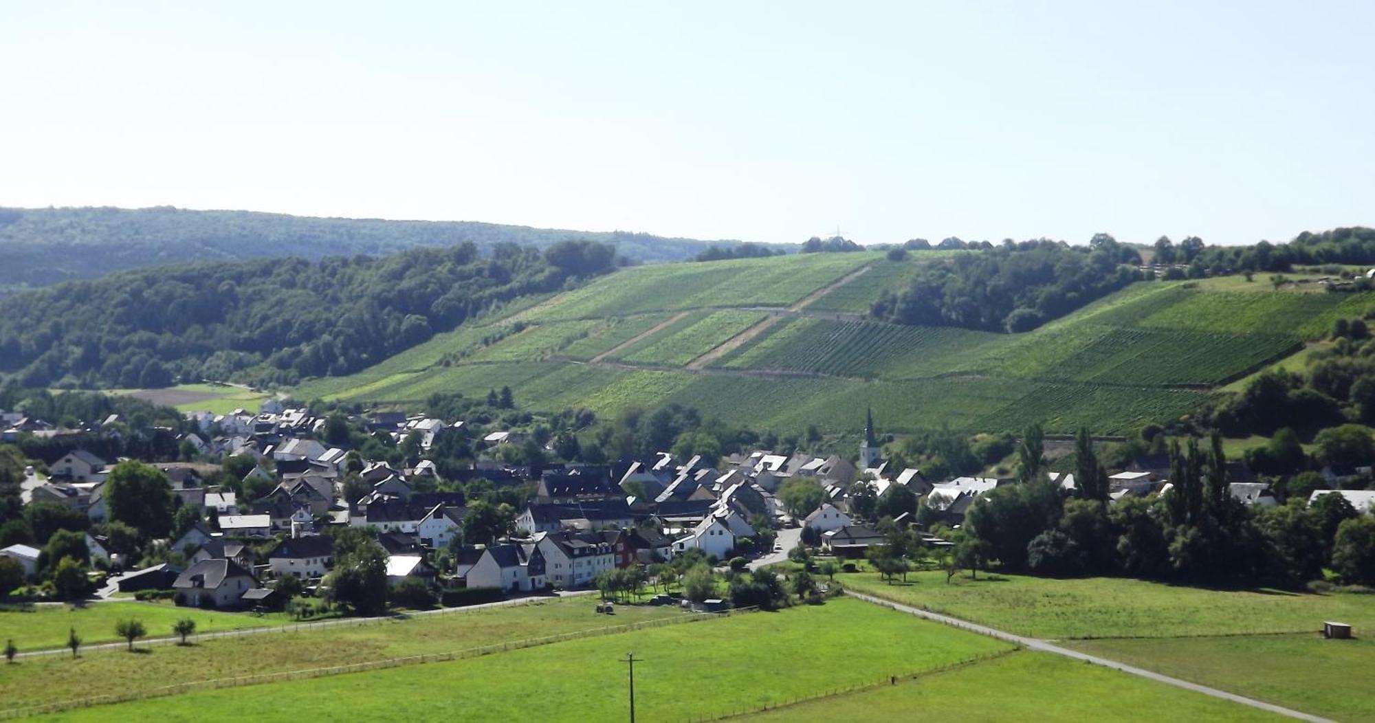 شقة Ferienweingut & Gutsrestaurant Becker Burgen  المظهر الخارجي الصورة